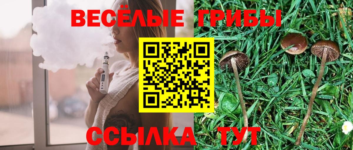 Галлюциногенные грибы Magic Shrooms Сунжа