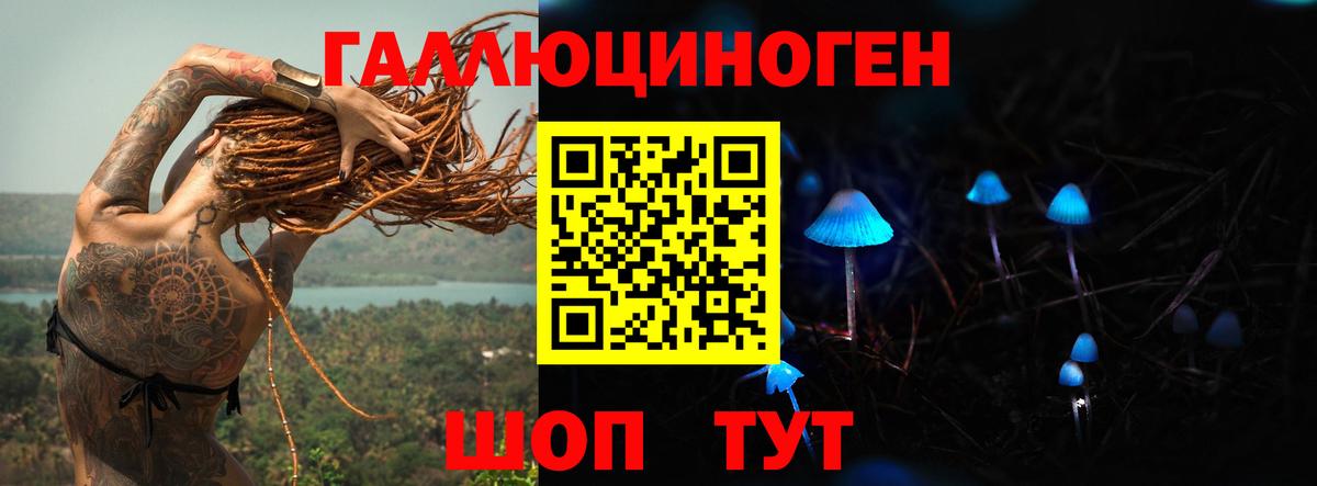 Псилоцибиновые грибы мицелий  Псилоцибиновые грибы Magic Shrooms  Сунжа  Вход с VPN 